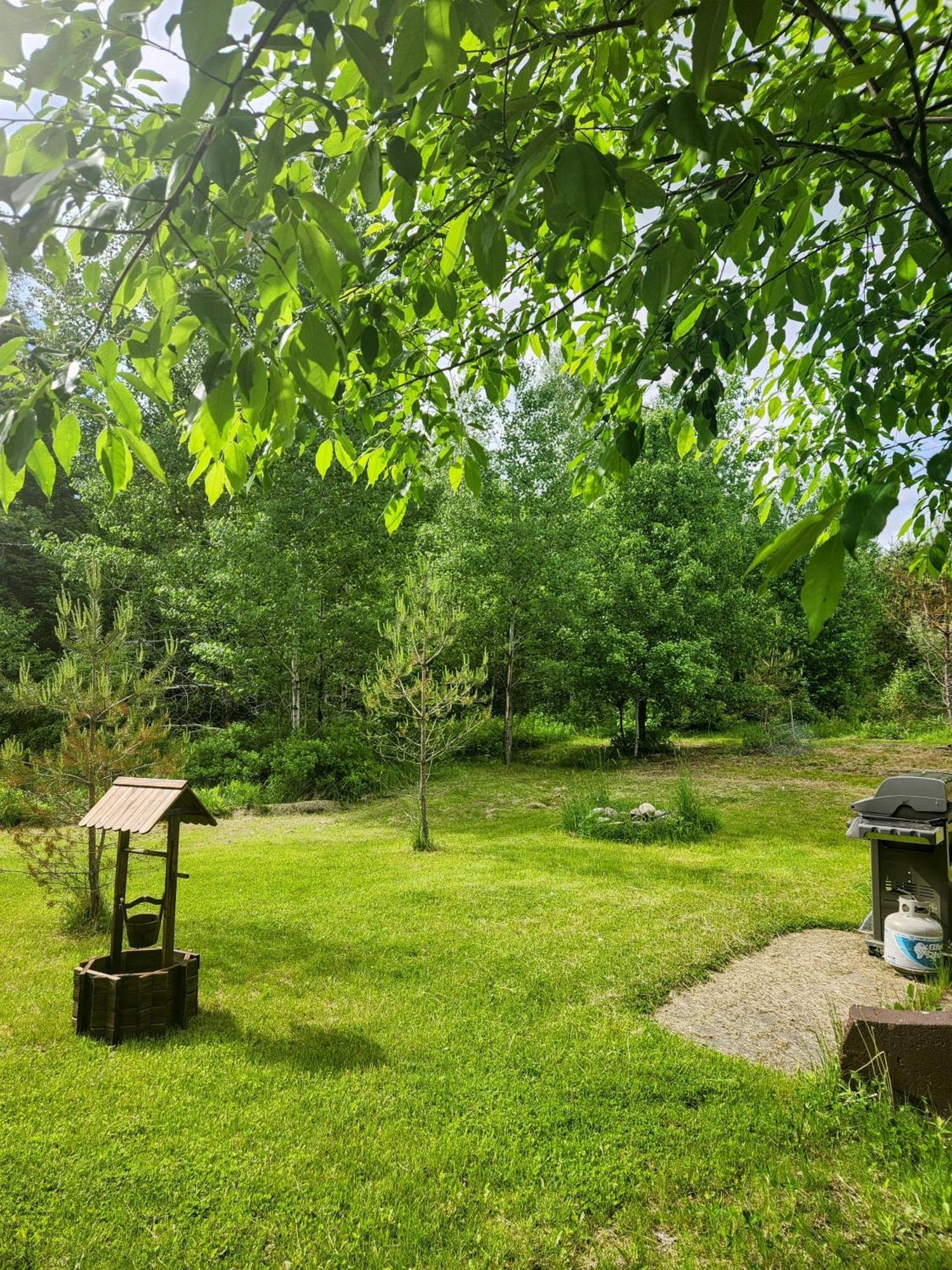 링컨 Backyard Bliss In The White Mountains 빌라 외부 사진