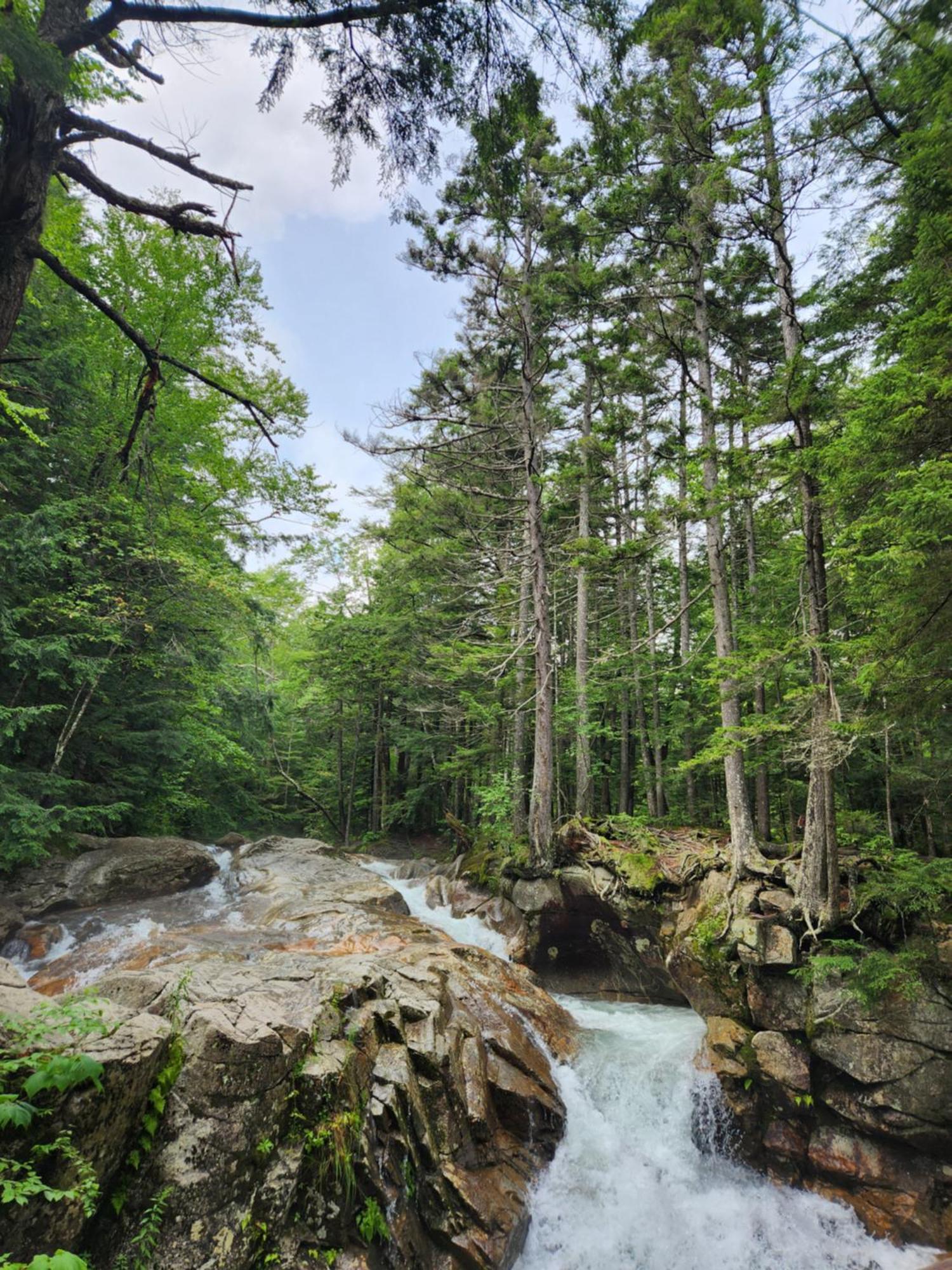 링컨 Backyard Bliss In The White Mountains 빌라 외부 사진